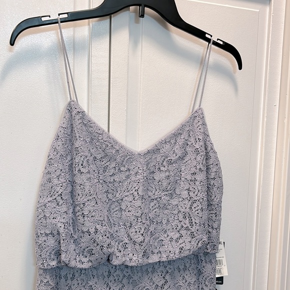 ✨ Adrianna Papell ✨ NWT Guipure Lace Blouson Dress Light Dove Size 6 - Picture 5 of 10